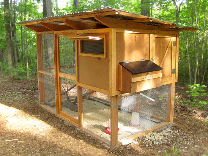 Nc Backyard Coops
 cement pavers for run floor