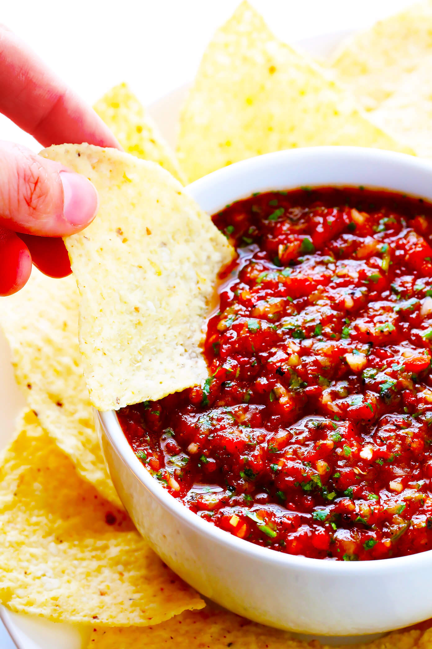 New Mexico Salsa Recipe
 The BEST Salsa Recipe