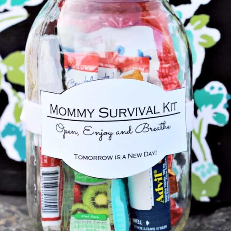 New Mother Gift Ideas
 10 Great DIY New Mom Gift Basket Ideas Meaningful Gifts