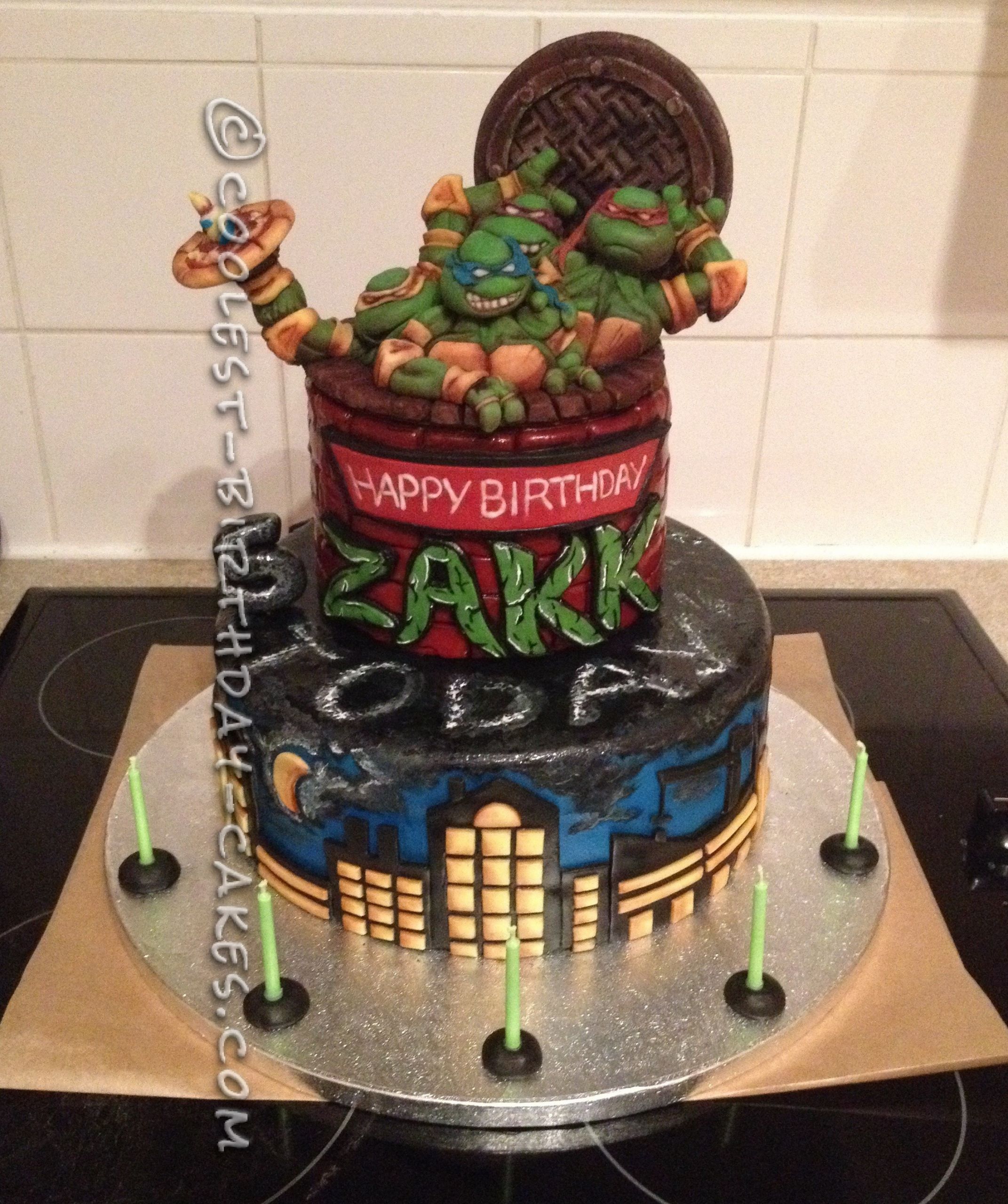 Ninja Turtle Birthday Cakes
 Amazing Teenage Mutant Ninja Turtles Birthday Cake