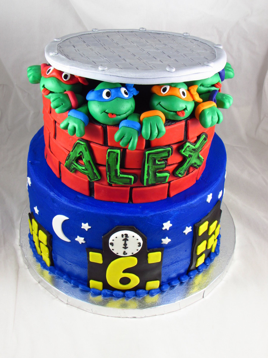 Ninja Turtle Birthday Cakes
 Teenage Mutant Ninja Turtles Birthday Cake CakeCentral