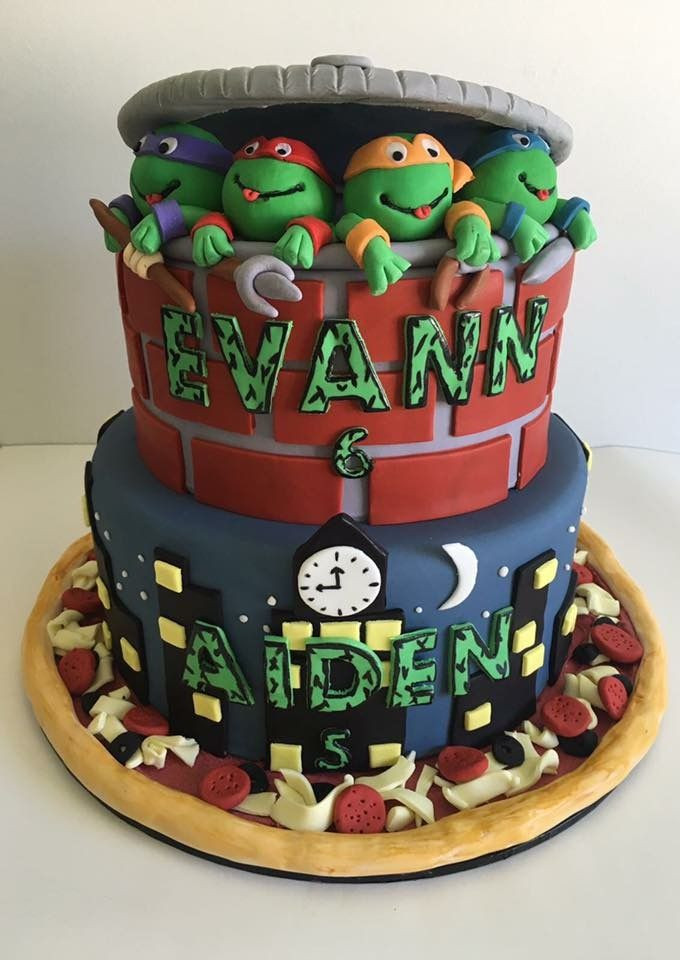 Ninja Turtle Birthday Cakes
 Teenage mutant ninja turtle cake for twin boys Kids