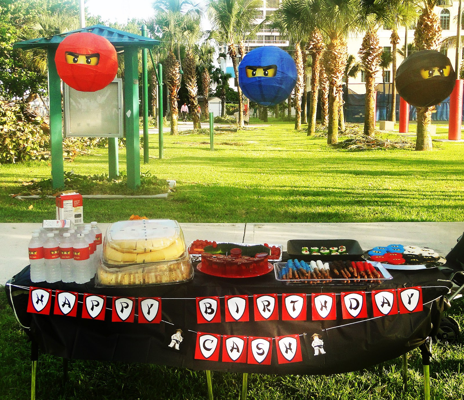 Ninjago Birthday Party
 The Isoms Ninjago Birthday Party