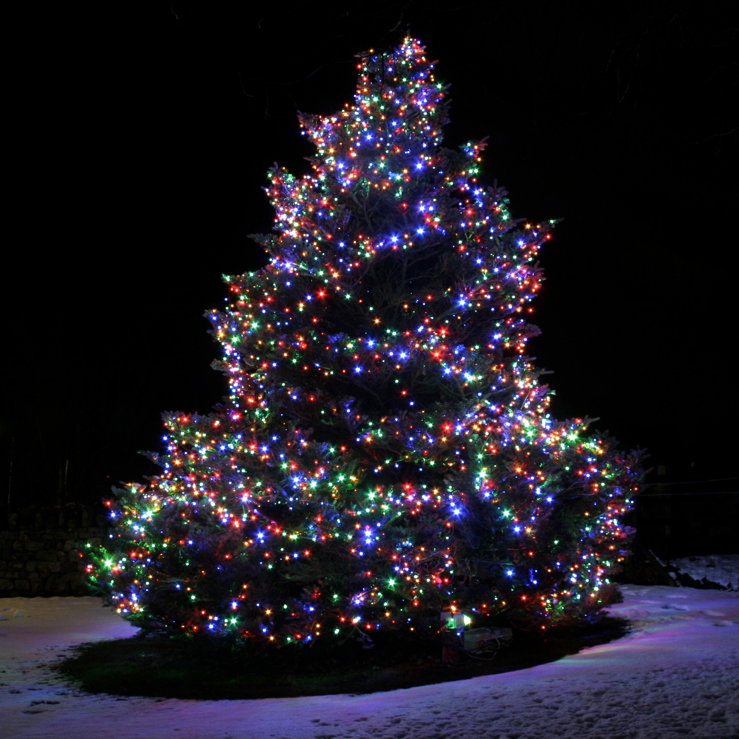 Outdoor Christmas Tree With Lights
 10 things to consider before installing Christmas lights