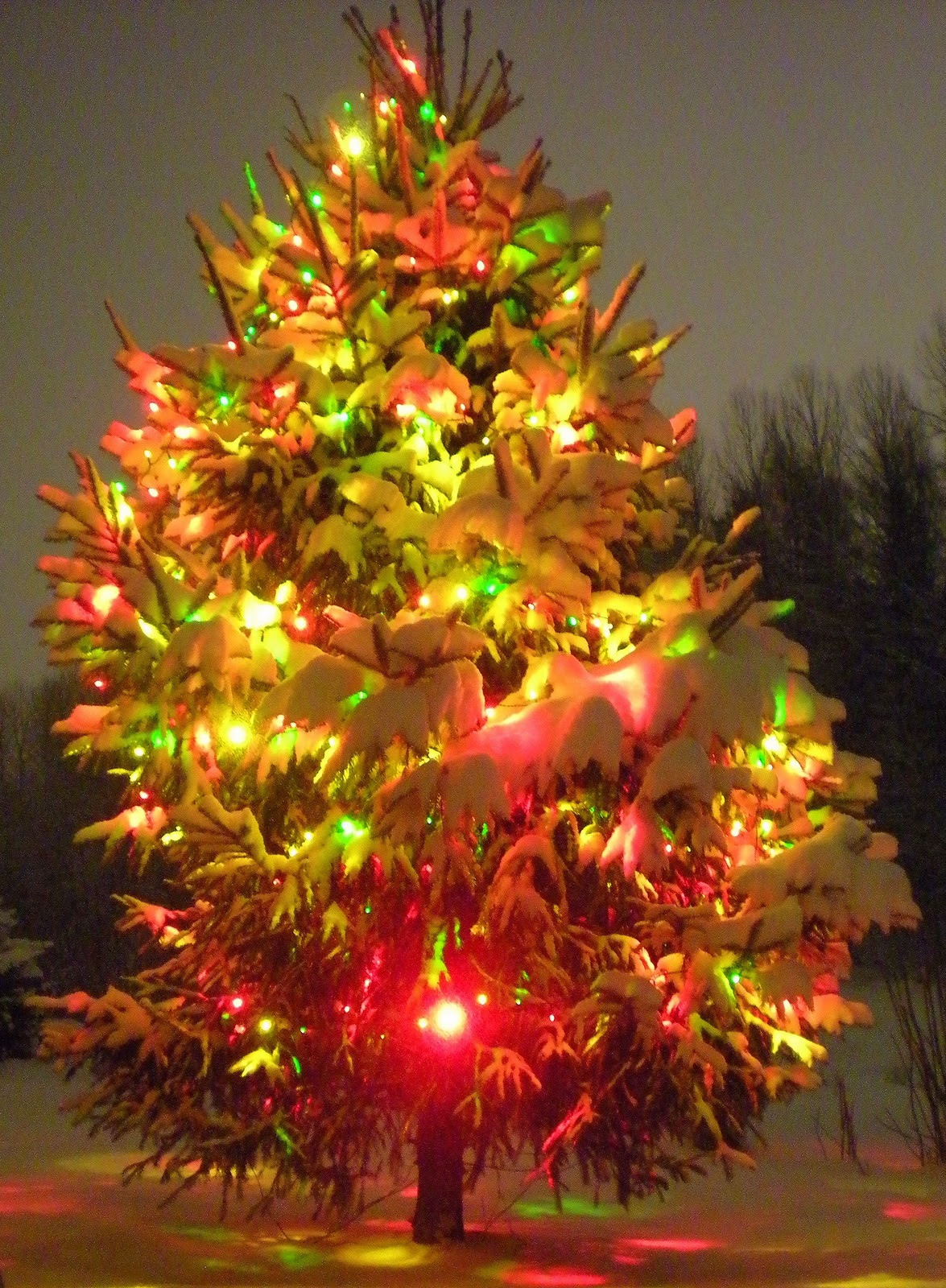 Outdoor Christmas Tree With Lights
 The History of Christmas Tree Lights