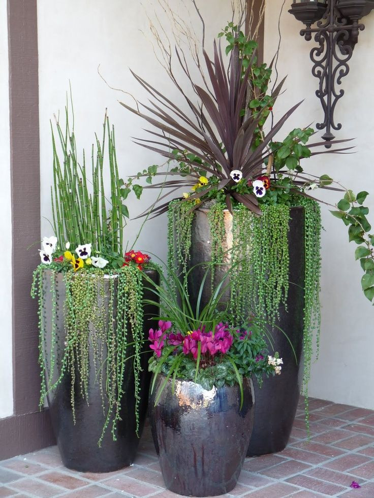 Outdoor Landscape Decor
 Potted Garden Design Ideas & Tips