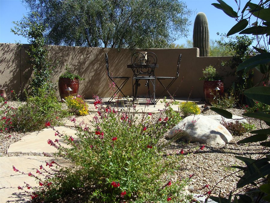 Outdoor Landscape Desert
 Colorful Desert Courtyard Landscaping Network