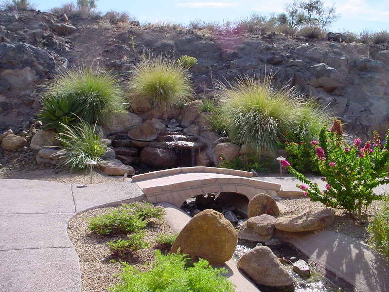 Outdoor Landscape Desert
 Awesome Desert Landscaping Ideas with Lovely Desert Plants