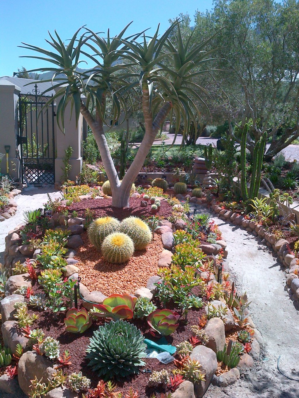 Outdoor Landscape Desert
 Get the Oasis for Your Home with These Amazing Desert