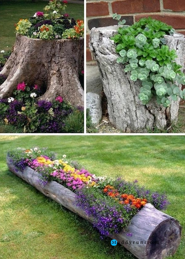 Outdoor Landscape Diy
 25 Easy DIY Garden Projects You Can Start Now