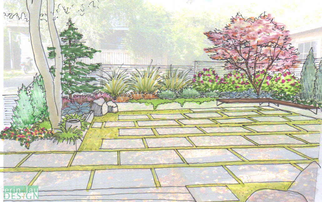 Outdoor Landscape Drawing
 Garden Drawing Details