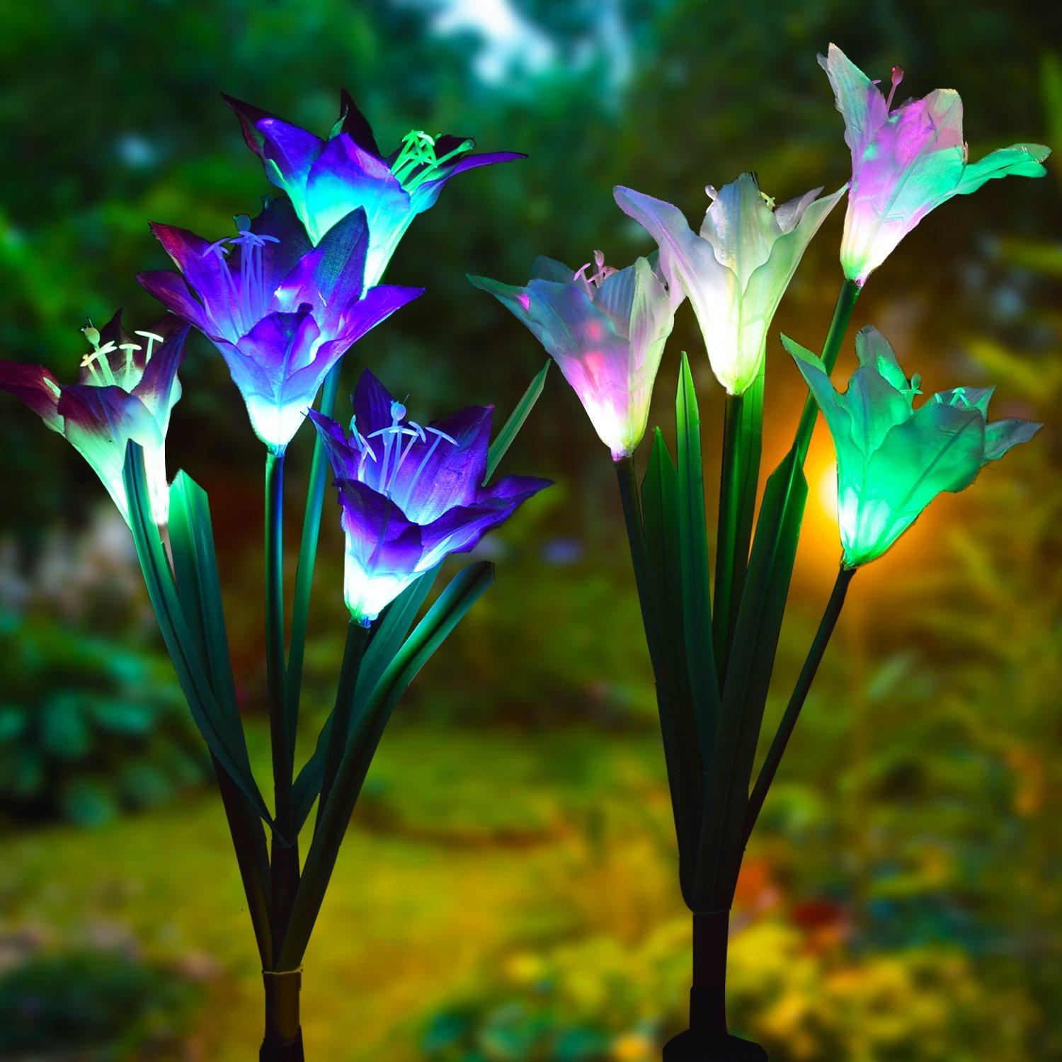 Outdoor Landscape Flowers
 LED Light up garden flowers Solar Powered garden flower