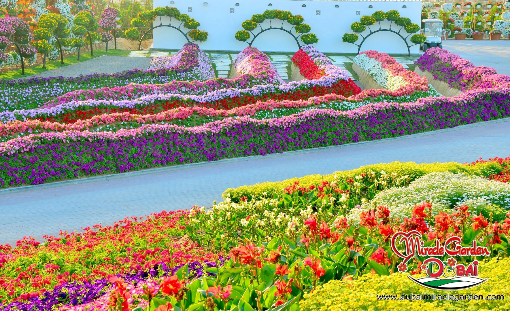 Outdoor Landscape Flowers
 Dubai Miracle Garden The World s Biggest Natural Flower