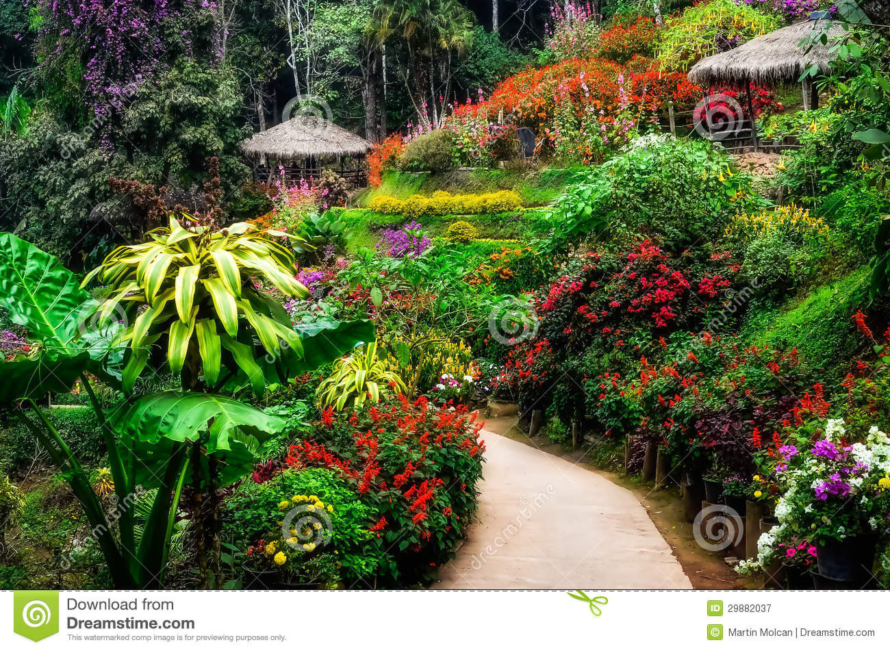 Outdoor Landscape Flowers
 Landscaped Colorful And Peaceful Flower Garden In Blossom