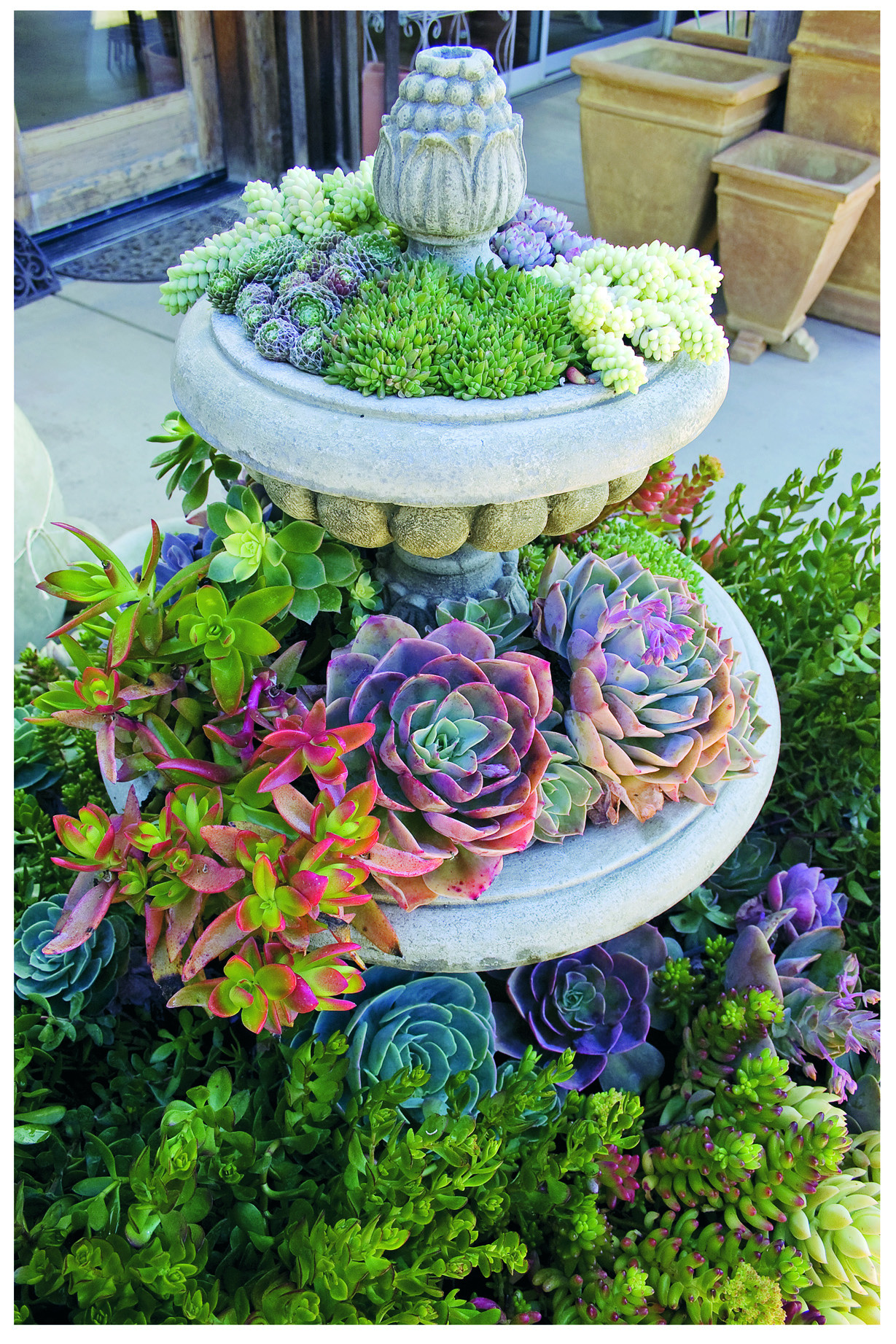 Outdoor Landscape Fun
 40 Unique & Fun Container Garden Ideas