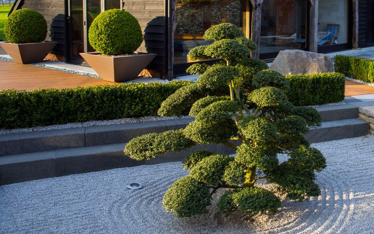 Outdoor Landscape Garden
 Landscape garden design