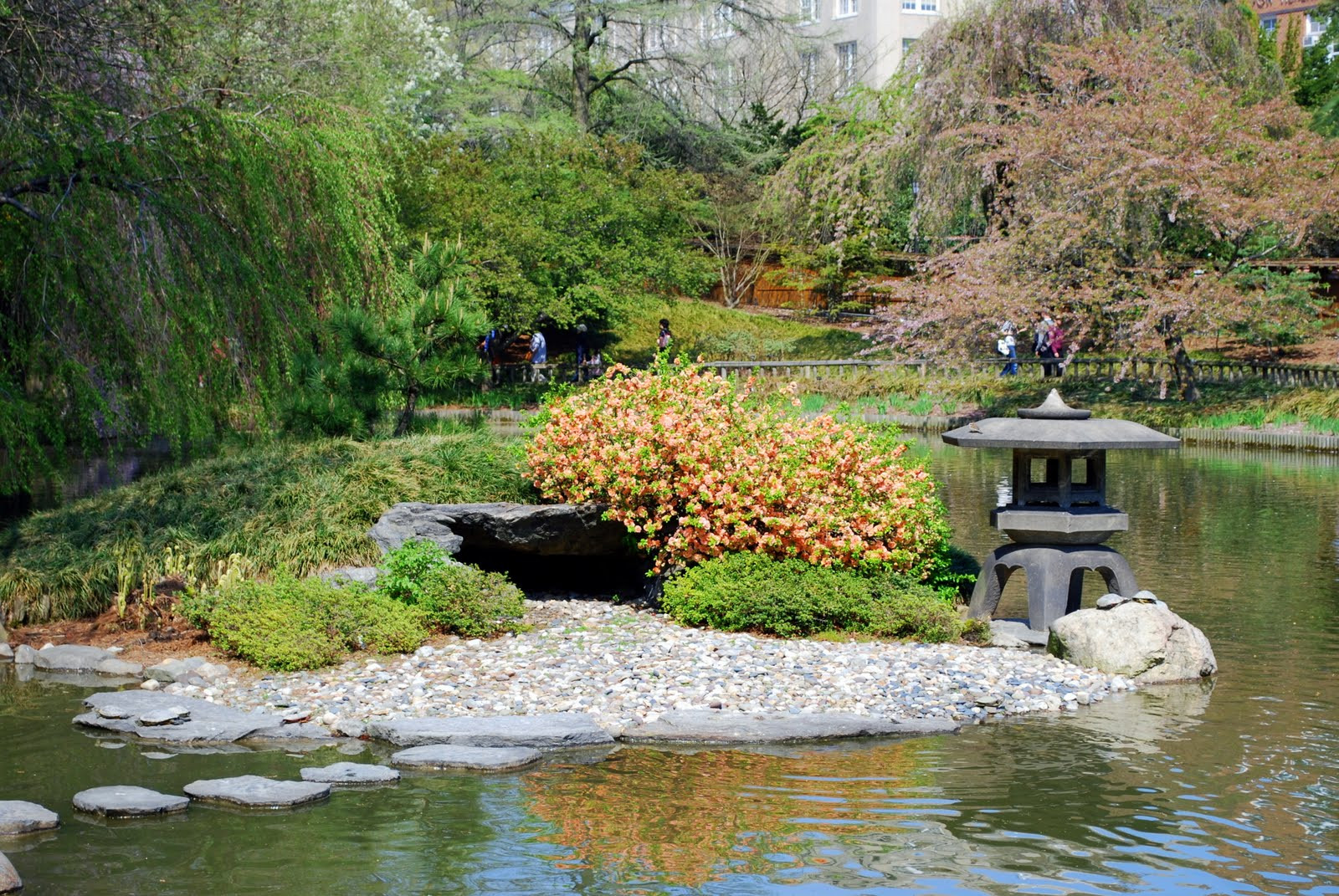Outdoor Landscape Hill
 Mille Fiori Favoriti The Brooklyn Botanic Japanese Hill