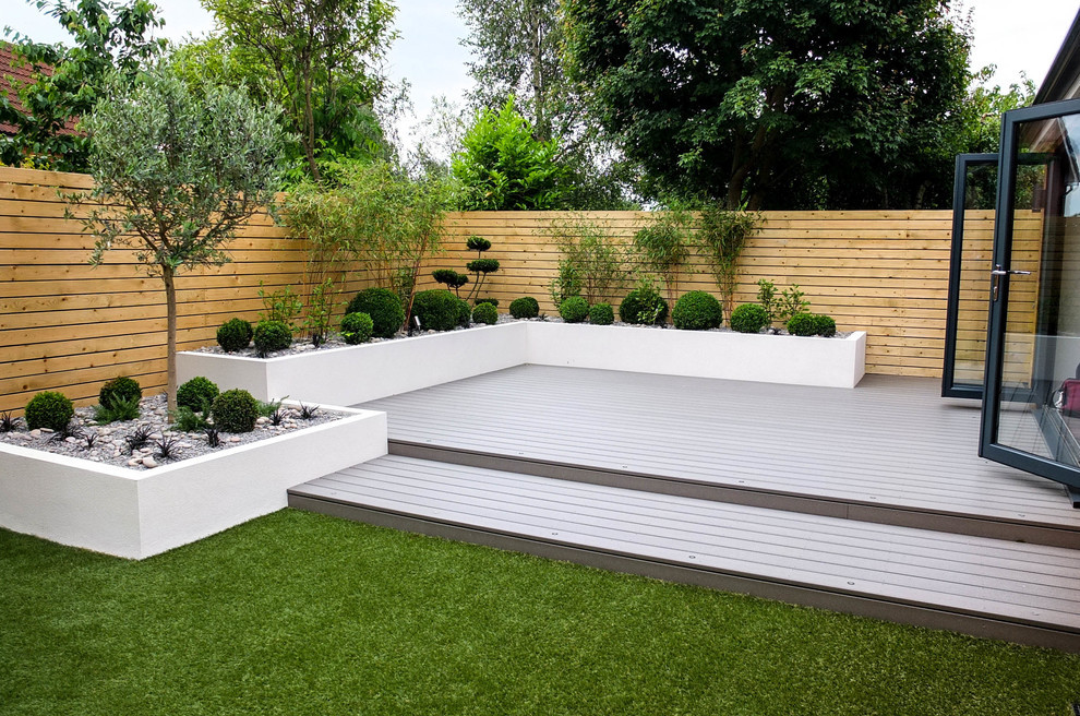 Outdoor Landscape Low Maintenance
 Small low maintenance garden Contemporary Landscape