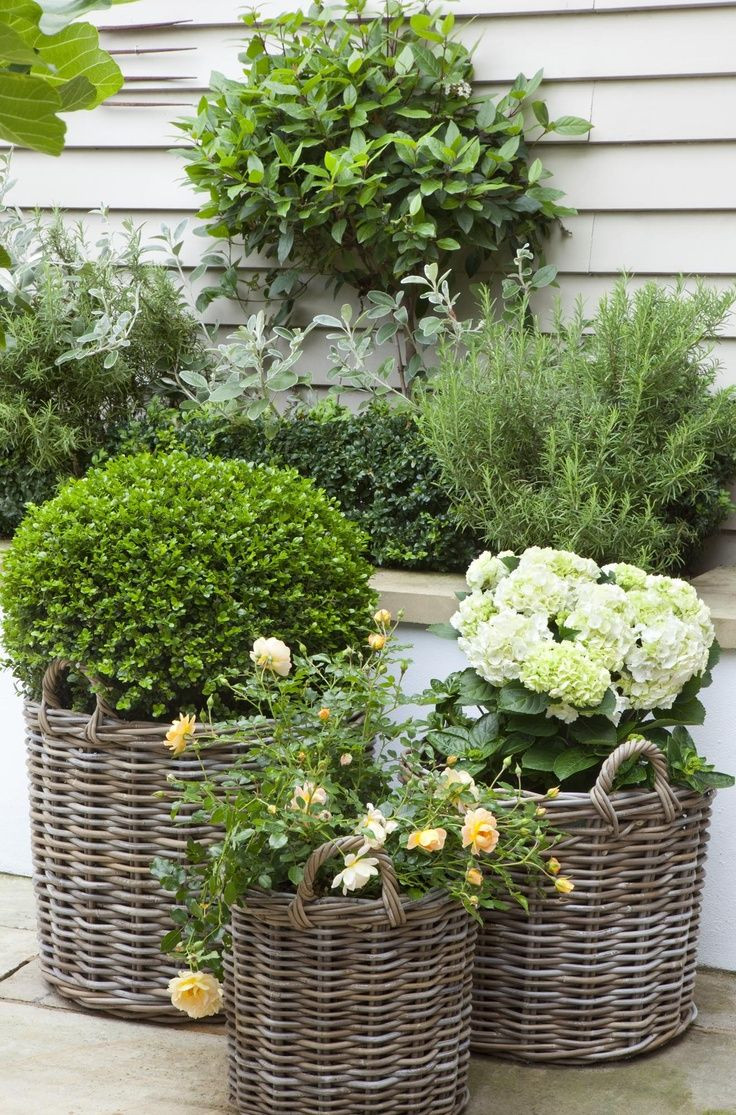 Outdoor Landscape Pots
 Potted Garden Design Ideas & Tips