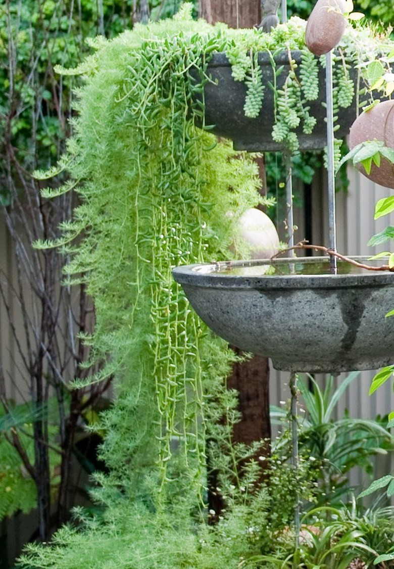 Outdoor Landscape Pots
 Natural Mosquito Repellent Ideas for Your Outdoor Space