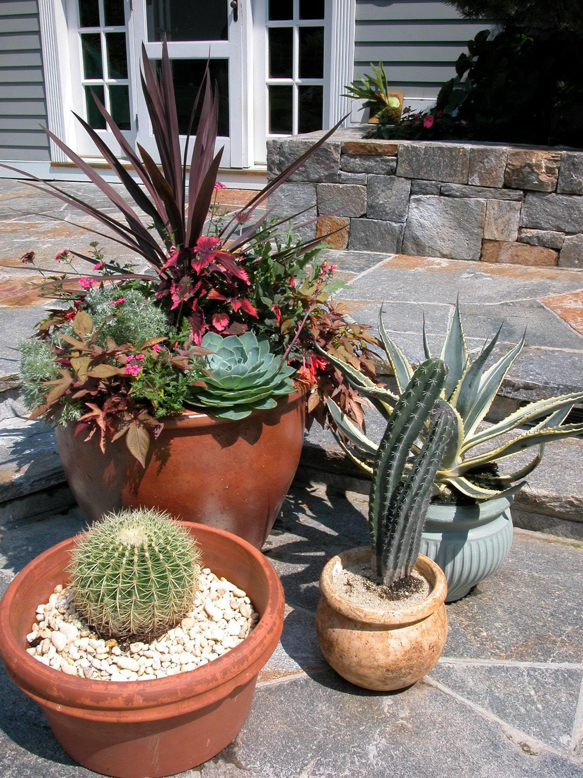 Outdoor Landscape Pots
 Unique Outdoor Planters For Your Garden – HomesFeed
