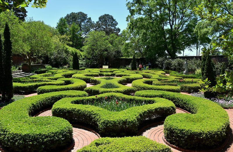 Outdoor Landscape Shrubs
 Growing and Caring for Boxwood Shrubs