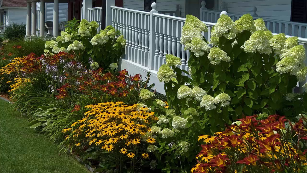 Outdoor Landscape Shrubs
 Hydrangea Garden Design