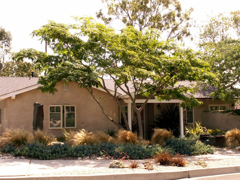 Outdoor Landscape Trees
 Xeriscape Landscaping Santa Barbara CA Gallery