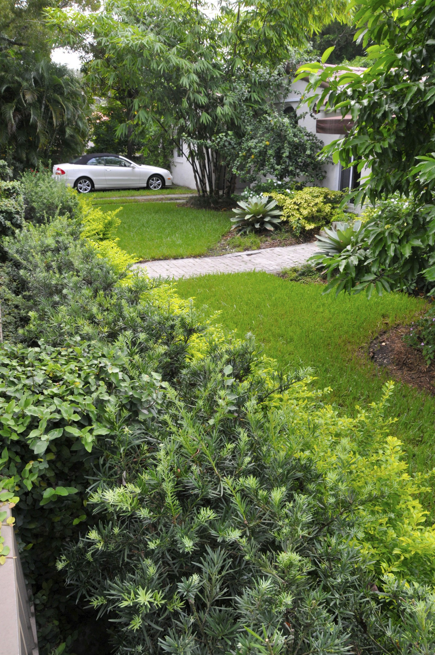 Outdoor Landscape Trees
 Landscape ideas South Florida front yard Garden design