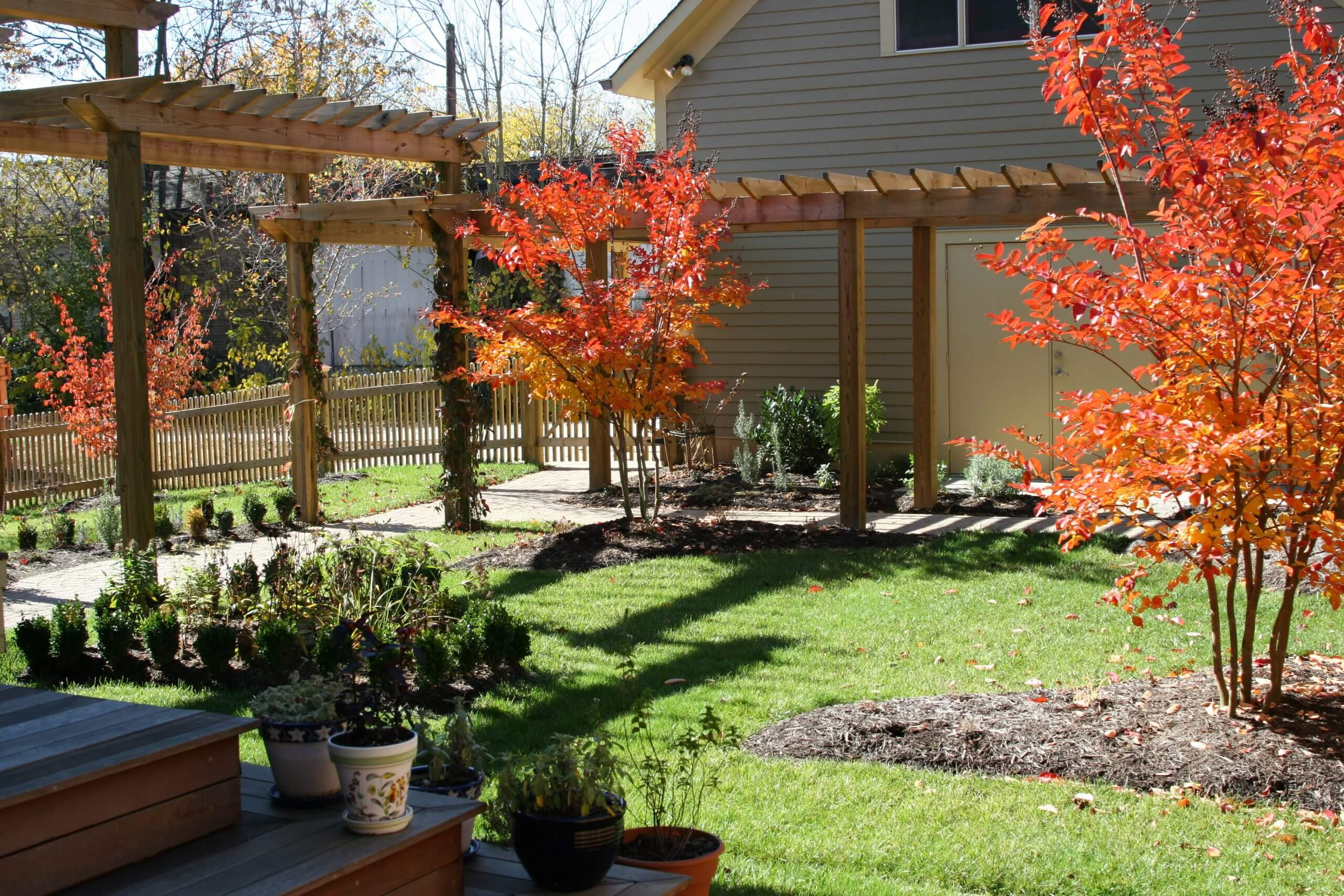 Outdoor Landscape Trees
 How To Plant Trees and Shrubs in East Tennessee Willow