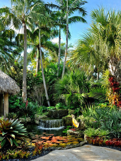 Outdoor Landscape Tropical
 Tropical Garden Home Design Ideas Remodel and Decor
