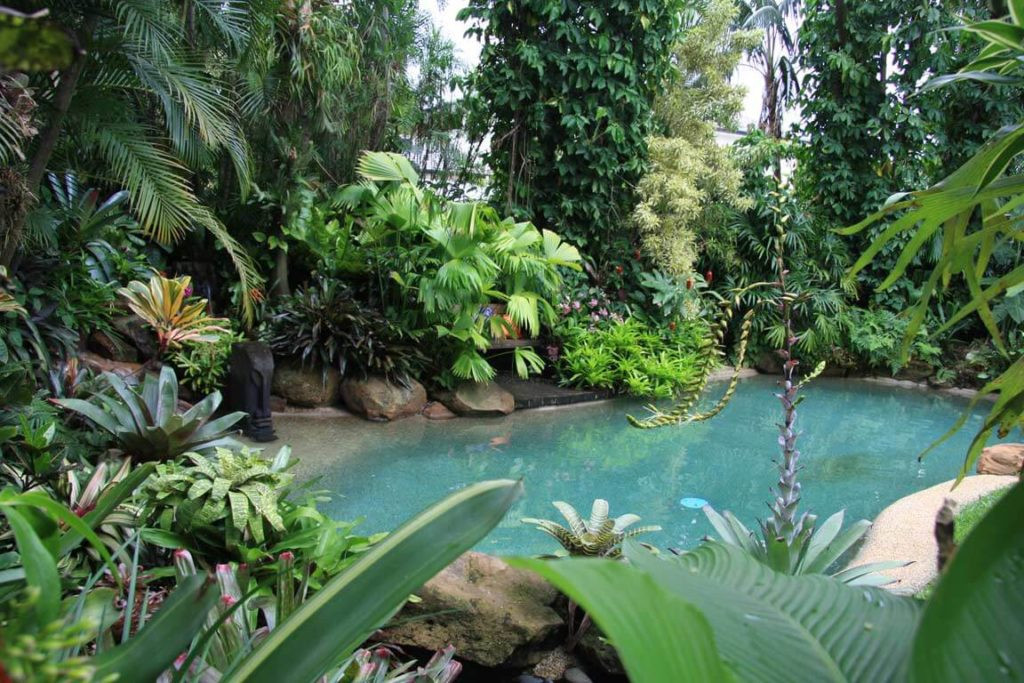 Outdoor Landscape Tropical
 Create a Tropical Paradise in Your Backyard