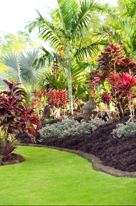Outdoor Landscape Tropical
 25 Best Tropical Garden Design Ideas Home and Gardens