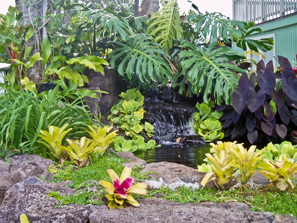 Outdoor Landscape Tropical
 Tropical Garden Landscaping Ideas