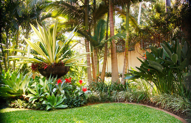 Outdoor Landscape Tropical
 Luxury tropical garden