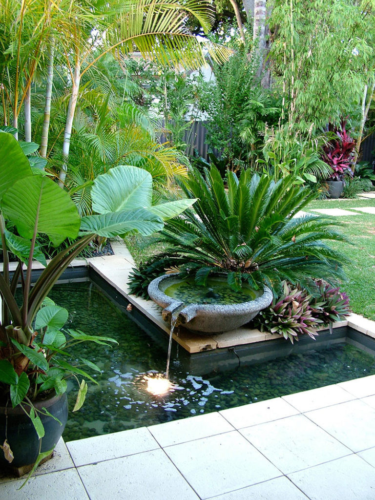 Outdoor Landscape Tropical
 Nedlands Tropical Garden Cultivart Landscape Design