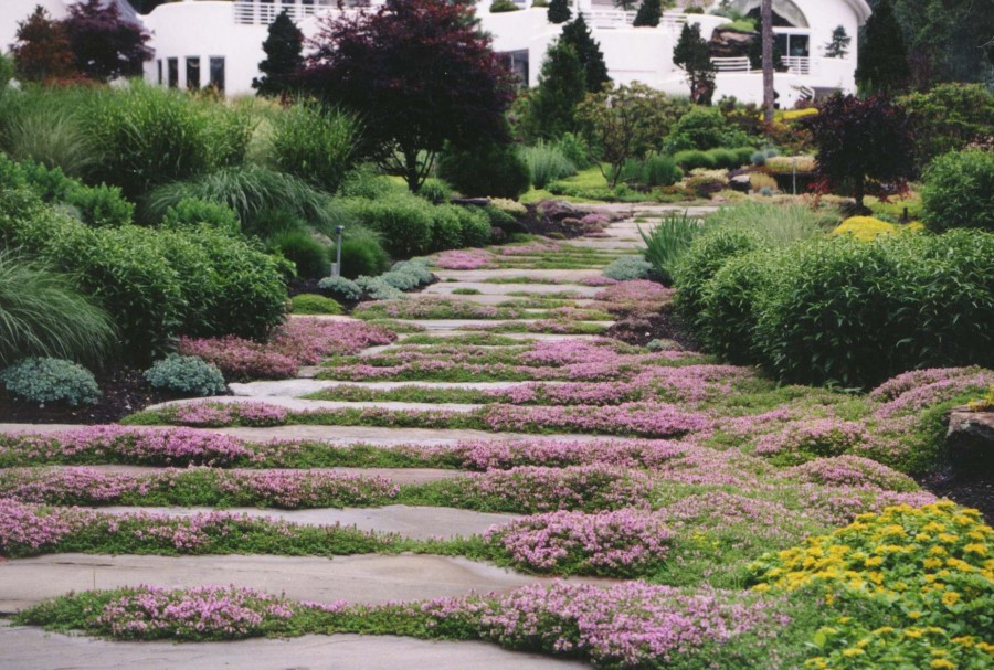 Outdoor Landscape With Stones
 Garden Stepping Stone Design and Ideas InspirationSeek