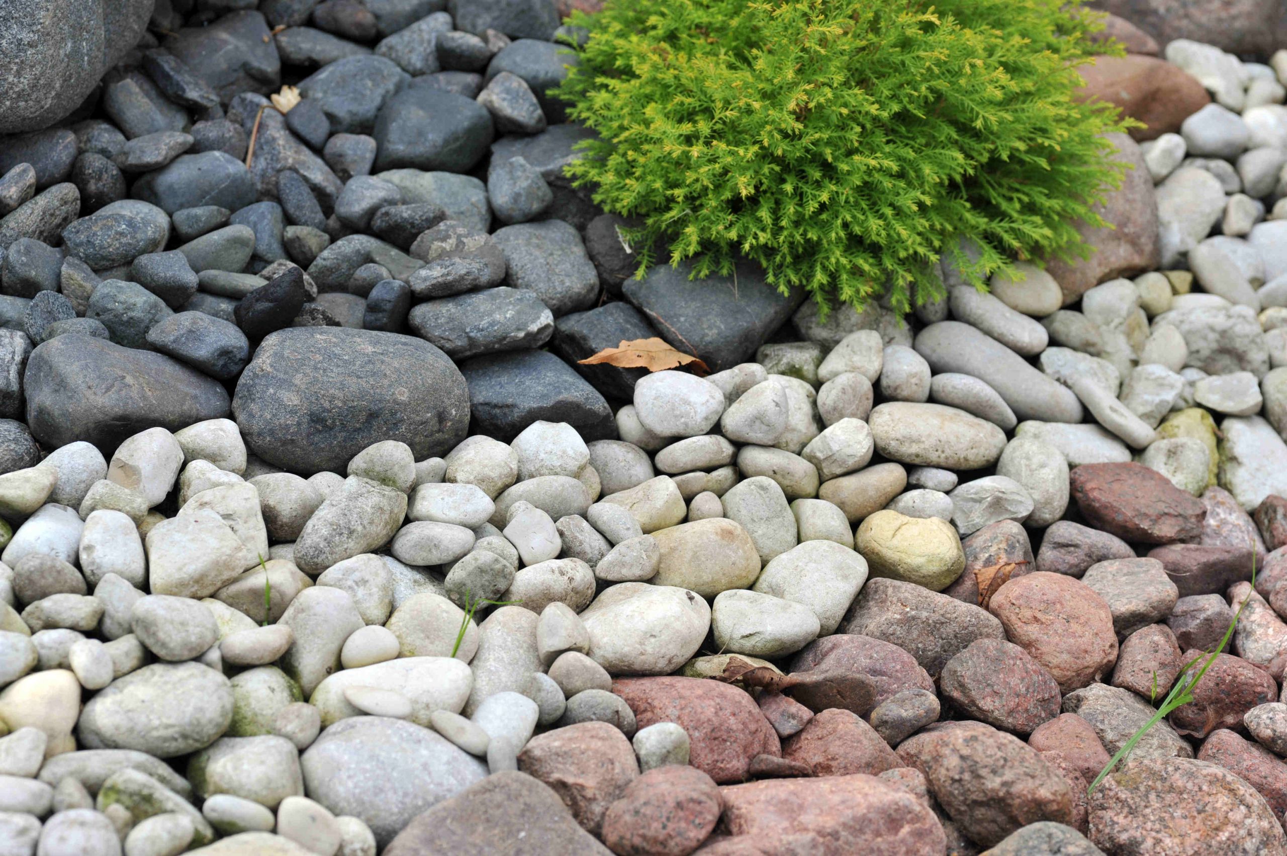 Outdoor Landscape With Stones
 Stone Pebbles Enhance the Landscape Design Decor Stone