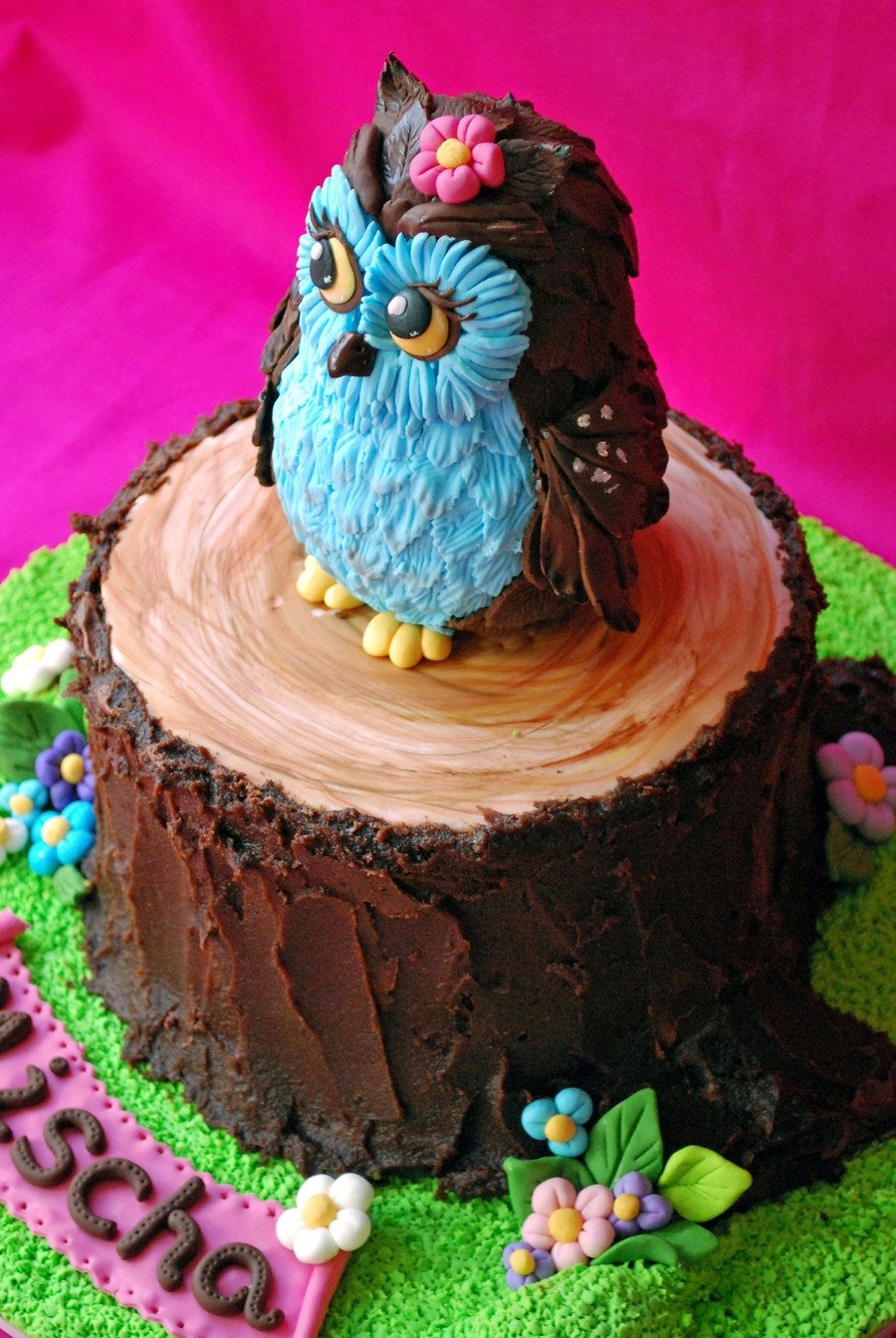 Owl Birthday Cakes
 Owl Cake CakeCentral