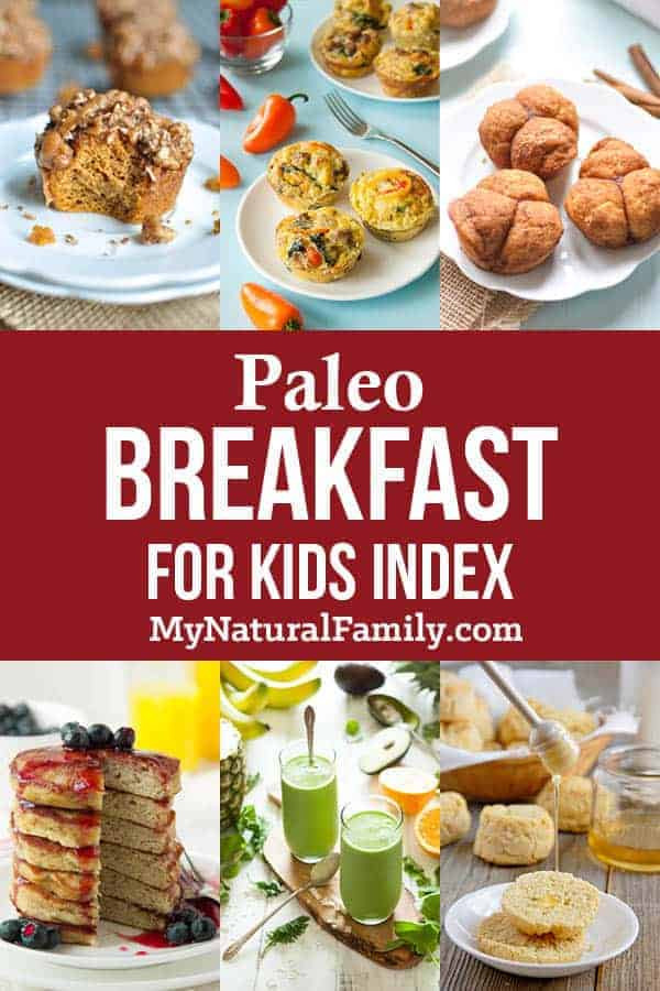 Paleo Kids Recipes
 Paleo for Kids Recipes They ll Actually Eat Anytime My