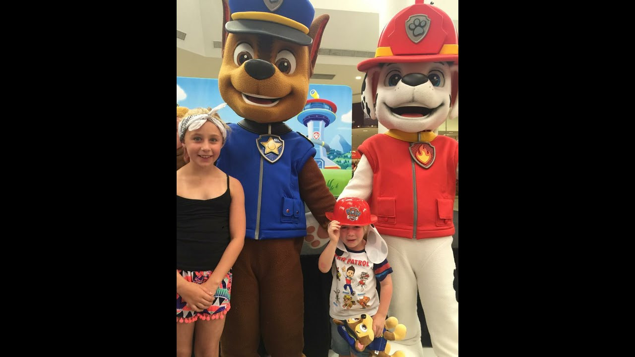 Party Characters For Kids Com Reviews
 Paw Patrol Birthday Party For Kids