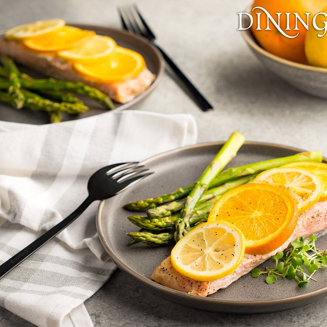 Passover Salmon Recipe
 Citrus Baked Salmon Recipes