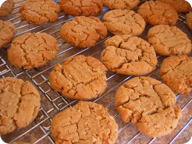 Peanut Butter Cookies Recipe Without Baking Soda
 peanut butter cookies without baking powder