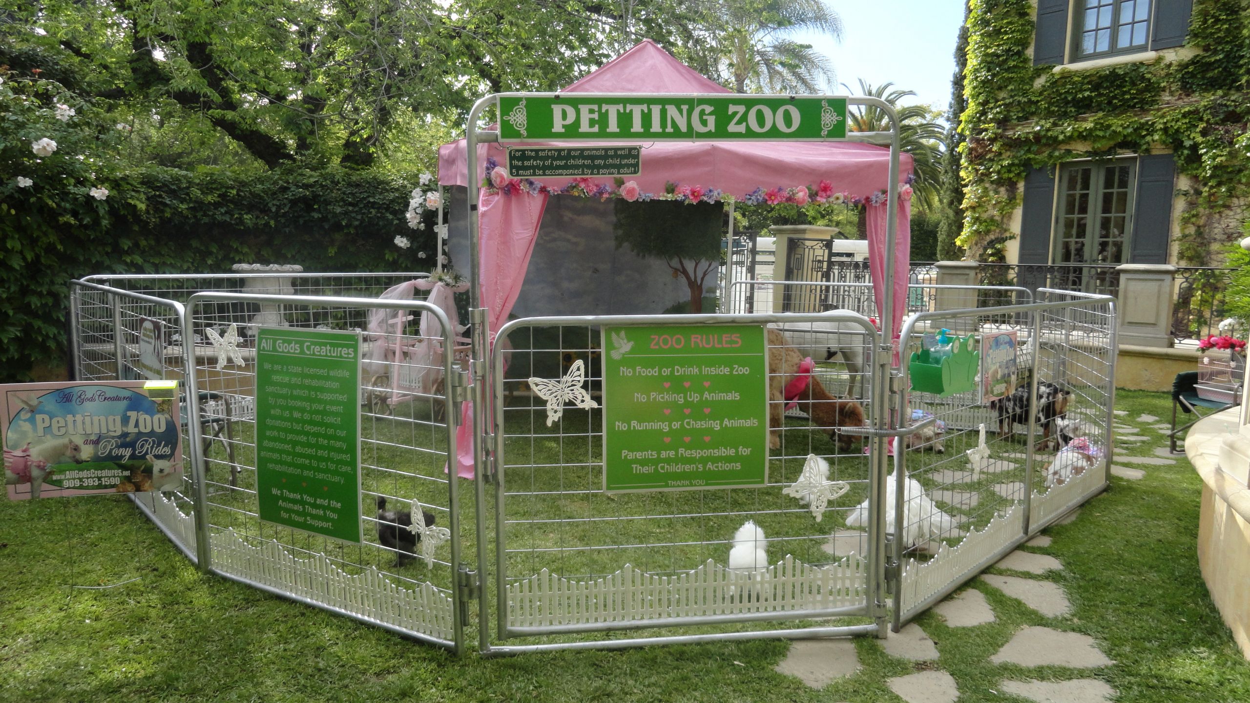 Petting Zoo Rental For Birthday Party
 Petting Zoo Orange County Los Angeles Riverside San