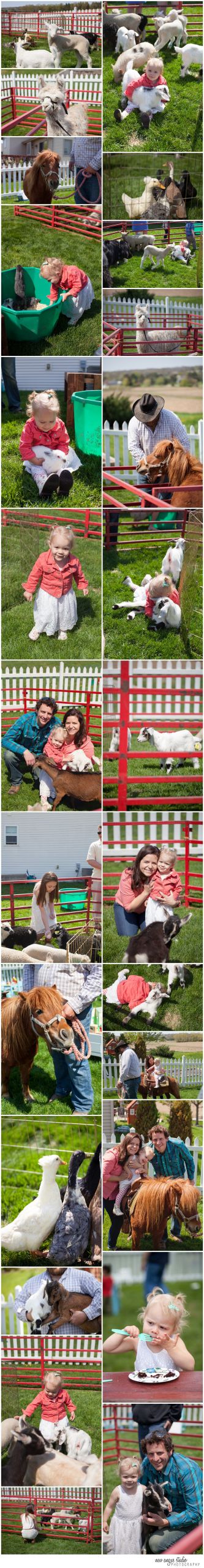Petting Zoo Rental For Birthday Party
 Girly Petting Zoo Farm Themed birthday party 2 year old