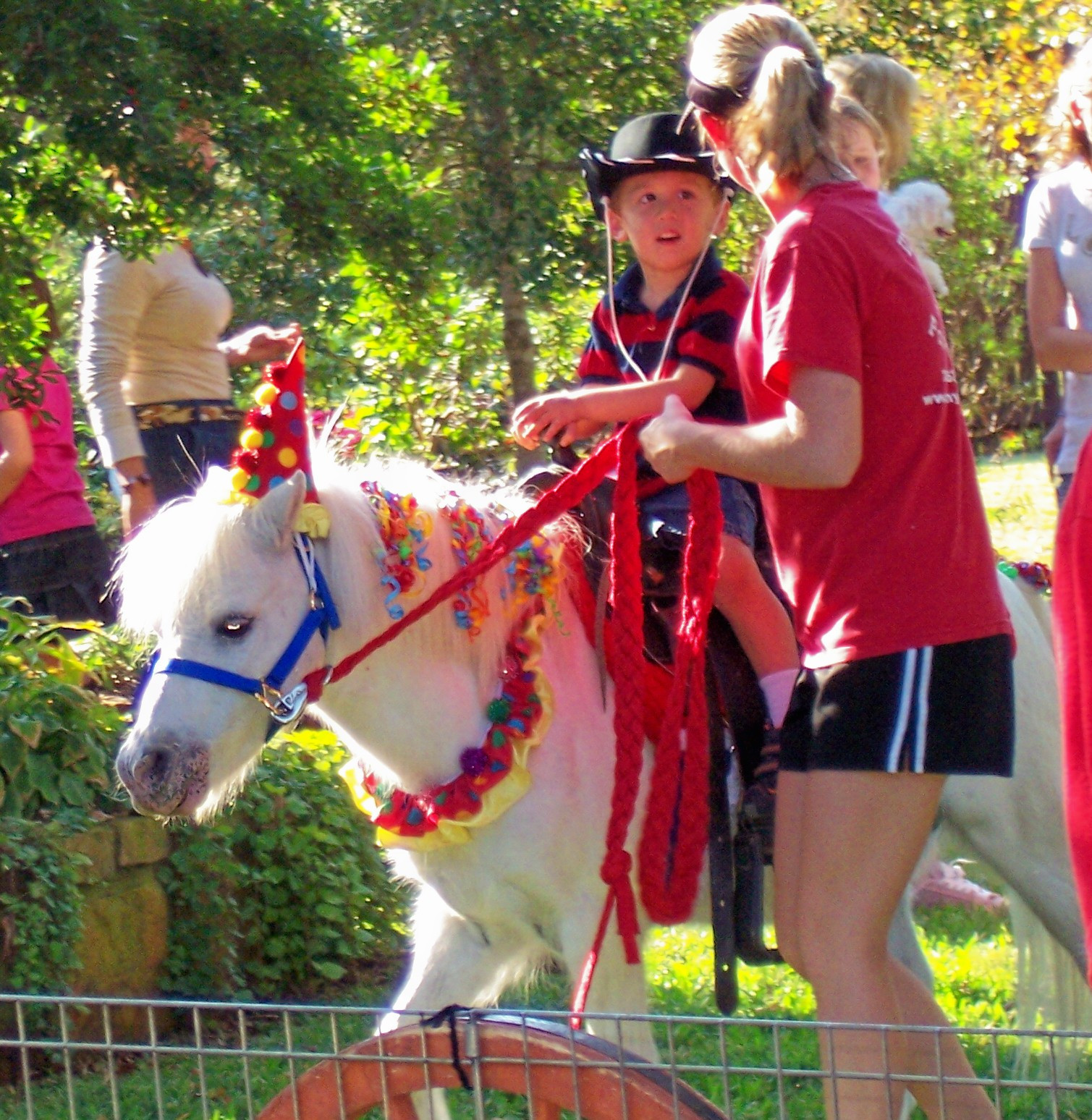 Petting Zoo Rental For Birthday Party
 PONY PARTIES PONY RIDES RENTAL PONY PARTY PETTING ZOO