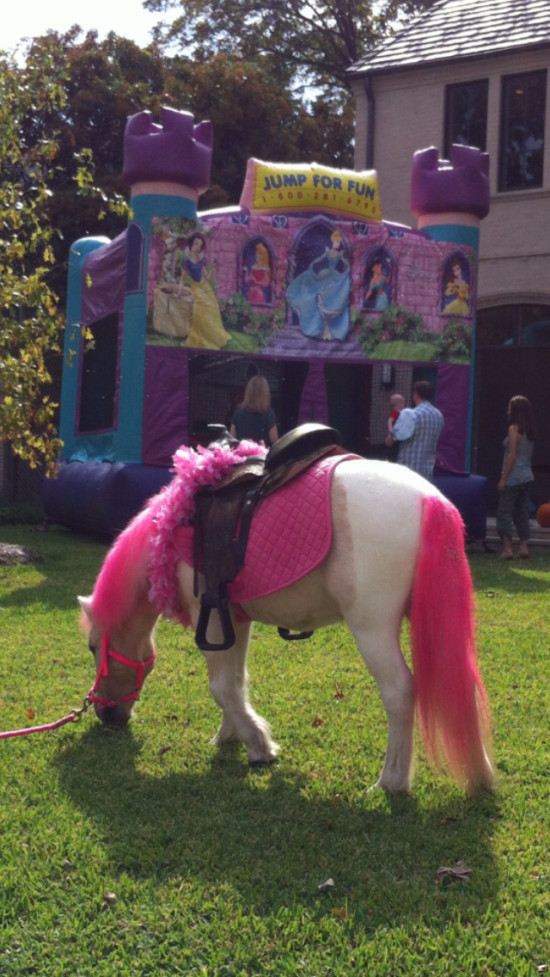 Petting Zoo Rental For Birthday Party
 my little pony unicorns pony rental pony party Dallas
