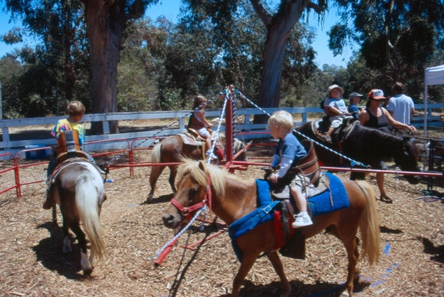 Petting Zoo Rental For Birthday Party
 Pony and petting zoo rentals for a great kid s birthday