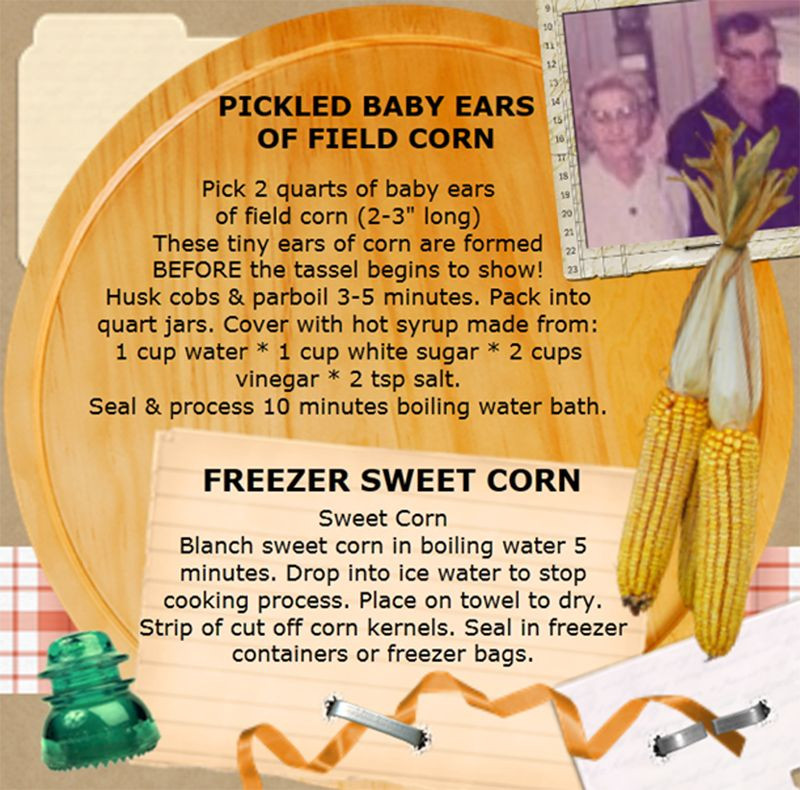 Pickled Baby Corn Recipes
 pickled baby ears of corn and freezer corn