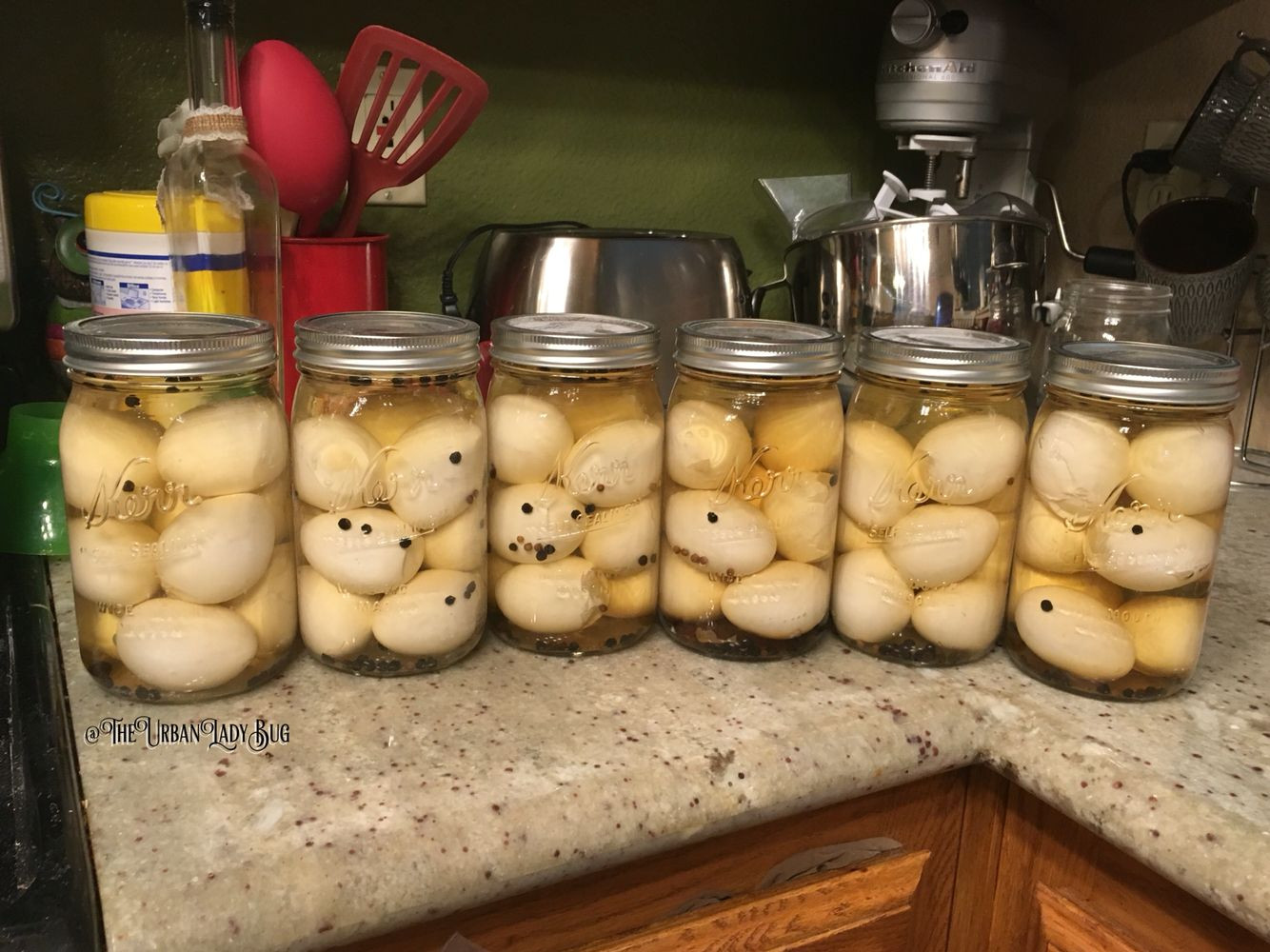 Pickled Duck Eggs
 Canned my first batch of pickled backyard duck eggs I had